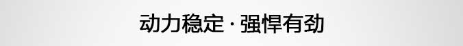 强制搅拌车载泵
